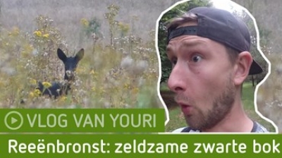 VLOG | Onze Youri spot een zwarte reebok